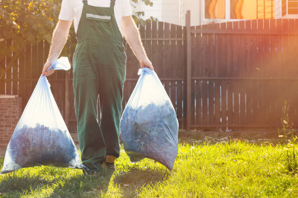 Attic Cleanout Services in Mesita, NM